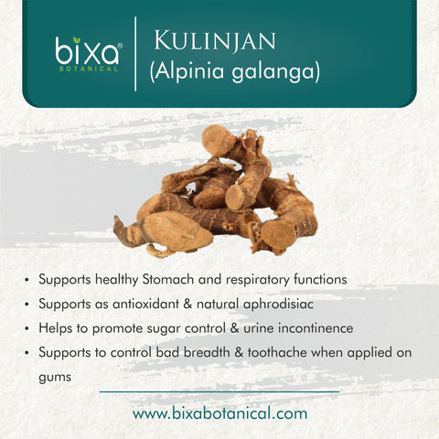 Kulinjan Root Powder  Alpinia Galanga