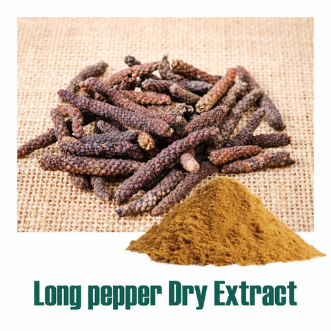 Long Pepper / Pippali (Piper Longum) Dry Extract - 2% Piperine by HPLC