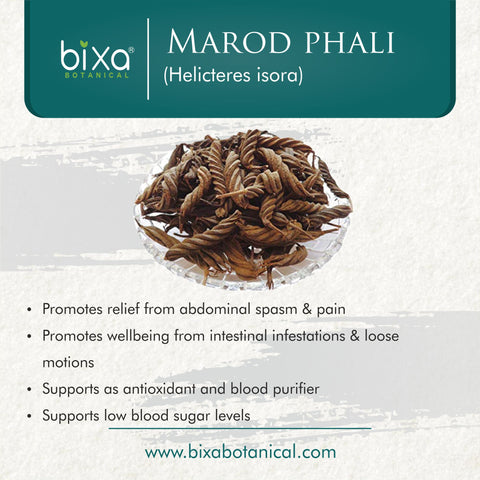 Marod phali Powder  Helicteres isora