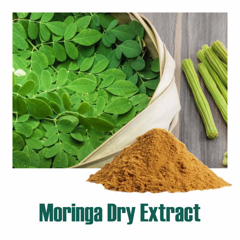 Moringa/ Shigru (Moringa Oleifera) dry Extract - 30% Saponins by Gravimetry