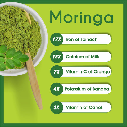 Moringa/ Shigru Leaves Powder  Moringa Oleifera