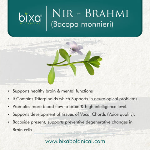 Brahmi |  Nir Brahmi Herb Powder | Bacopa monnieri