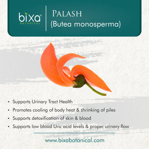 Palash Flower Powder  Butea Monosperma