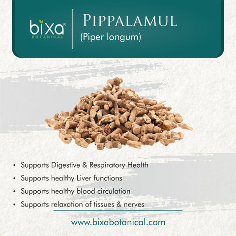 Pippali mool Powder  Piper longum Root