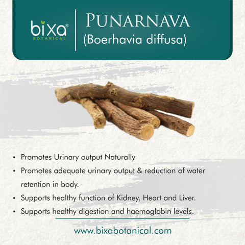 Punarnava Root Powder  Boerhavia Diffusa