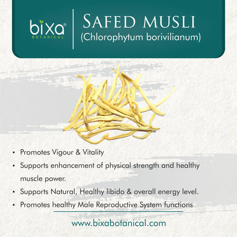 Safed Musli Root Powder Chlorophytum Borivilianum