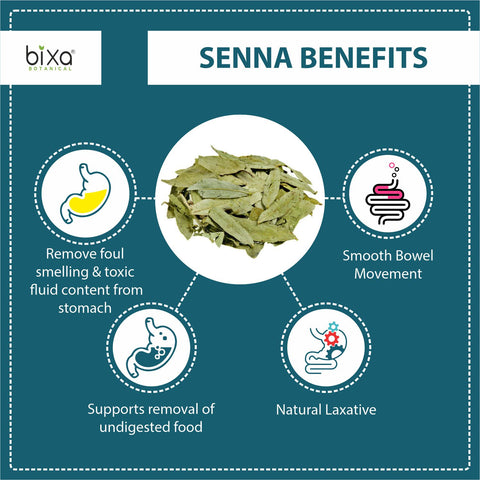 Indian Senna (Cassia Angustifolia) Dry Extract - 20% Sennosides by UV