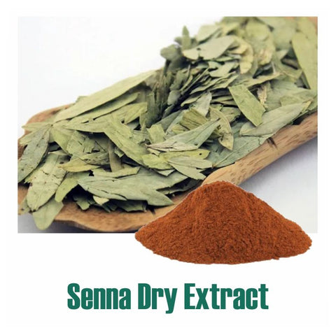 Indian Senna (Cassia Angustifolia) Dry Extract - 20% Sennosides by UV