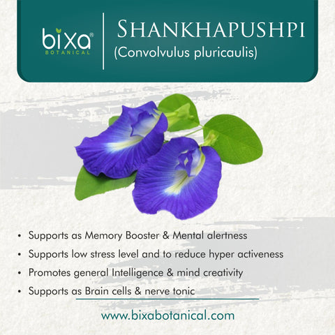 Shankhapushpi Herb Powder Convolvulus Pluricaulis