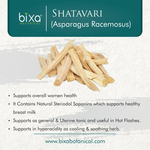 Shatavari Root Powder  Asparagus Racemosus