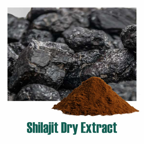 Shilajit (Asphaltum) Dry Extract - 40% Fulvic acid by Gravimetry