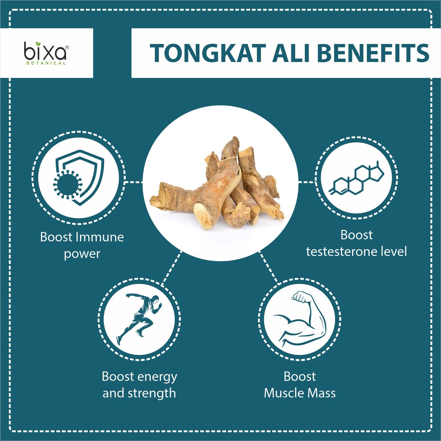 For Strength and Muscles | Ashwagandha + Tongkat Ali Powder |  Combo