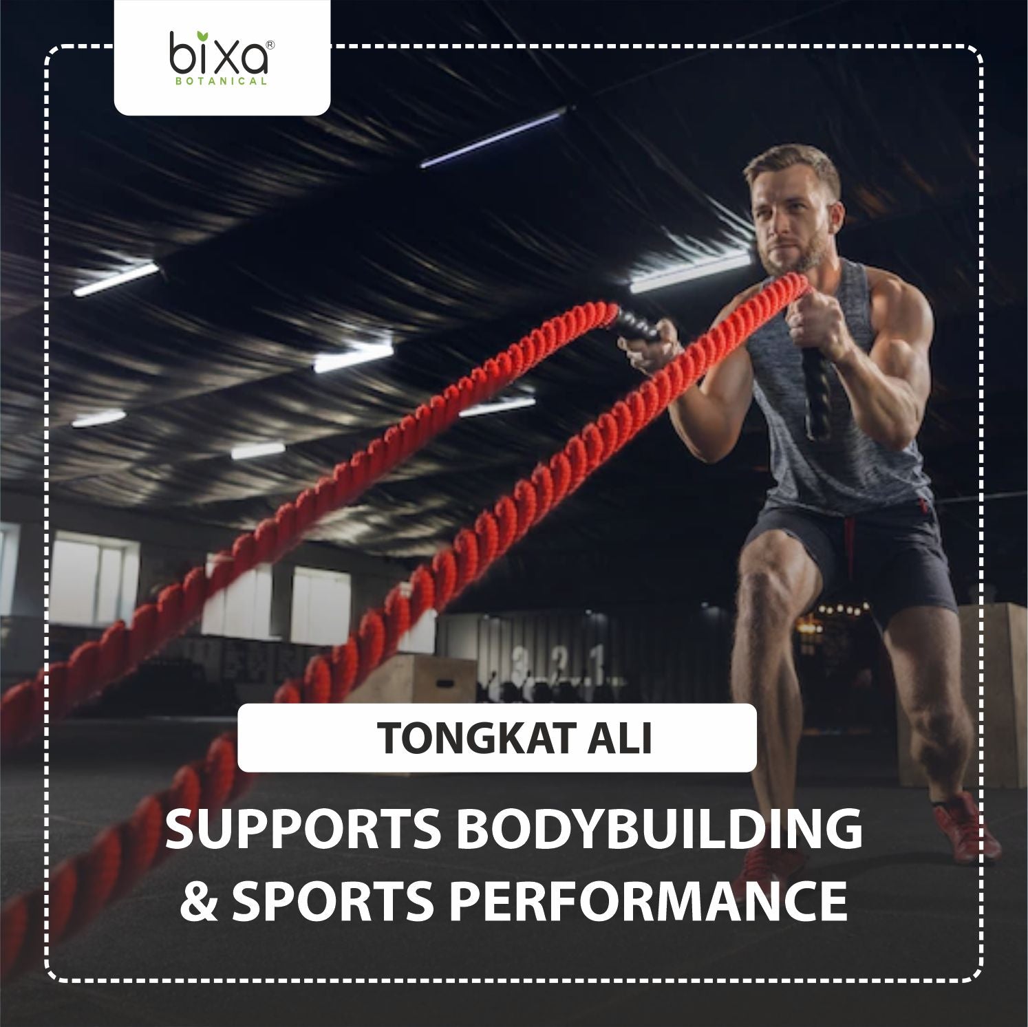 For Strength and Muscles | Ashwagandha + Tongkat Ali Powder |  Combo