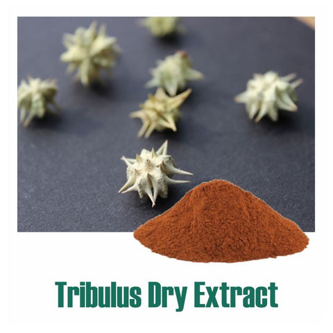 Gokhru (Tribulus Terresteris) Dry Extract - 40% Saponins by Gravimetry