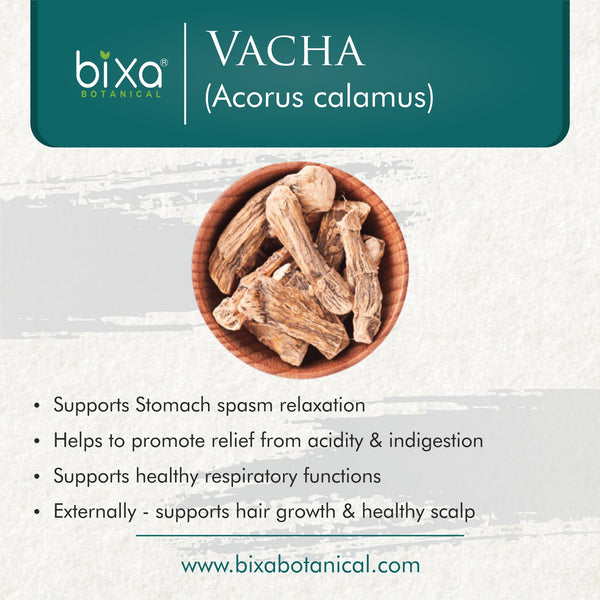 Vacha Root Powder  Acorus Calamus