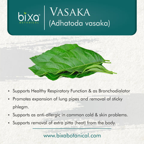 Vasaka / Vasa Leaves Powder  Adhatoda Vasaka