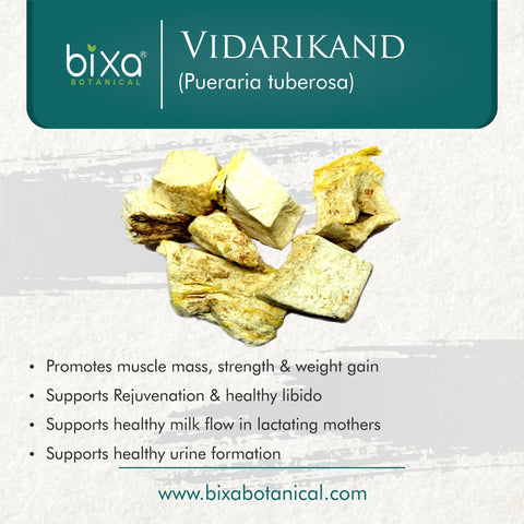 Vidarikand  Powder  Pueraria Tuberosa