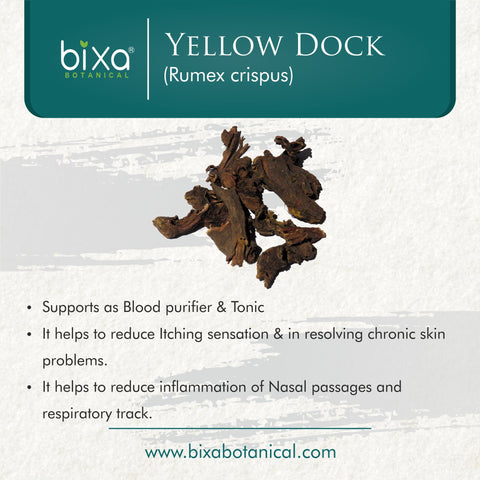 Yellow Dock Root Powder  Rumex Crispus