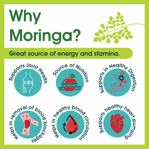 Moringa/ Shigru Leaves Powder  Moringa Oleifera